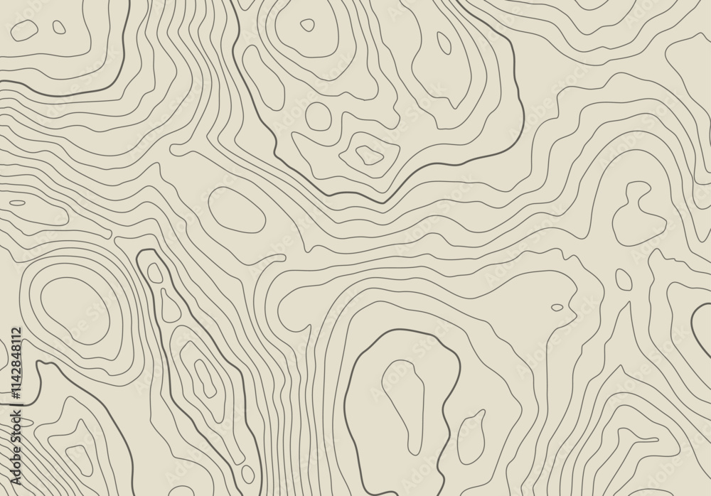 Leinwandbilder Topographic map background with altitude lines. Abstract terrain topography with elevation levels of the relief