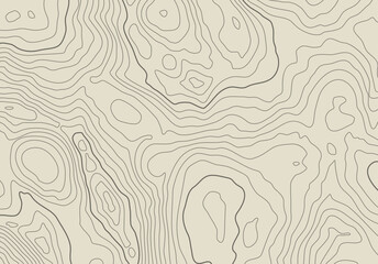 Topographic map background with altitude lines. Abstract terrain topography with elevation levels of the relief © swillklitch