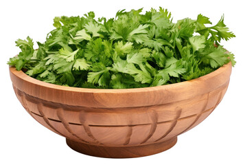 Fototapeta premium PNG Chopped curly parsley plant herbs food.