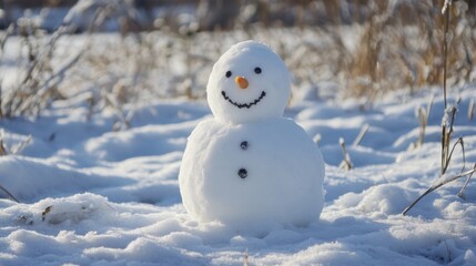 Small snowman with carrot nose and smiling face standing in snowy field