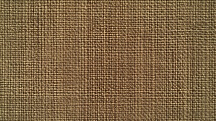 Brown Woven Fabric Texture Close Up View