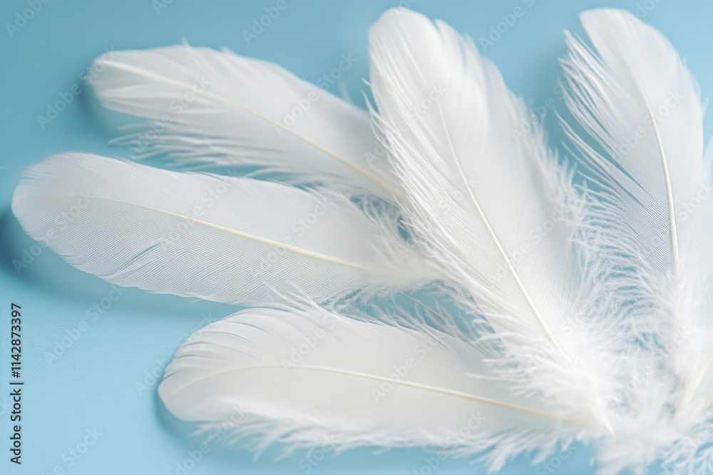 Aufkleber Image of three white feathers lying on a blue surface, suitable for use in editorial or design contexts