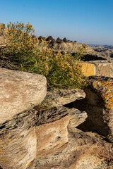 Rocks in wilderness with plants