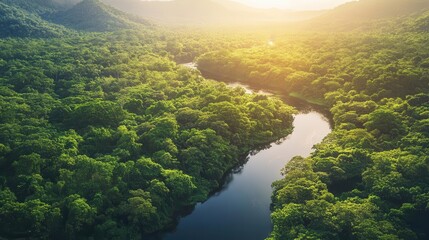 lush rainforest landscape with cascading rivers and vibrant greenery under a clear summer sky, showcasing the beauty of tropical regions and inviting a sense of adventure and exploration