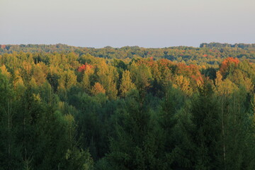 forests of northeastern Europe change their colors in early autumn Kirov region Russia