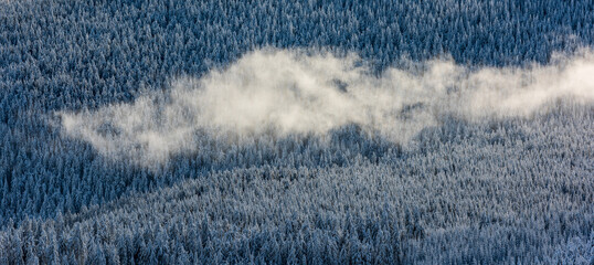 Flowing clouds over the winter mountain forest.