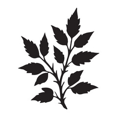 Detailed Silhouette Illustration of a Rose Branch