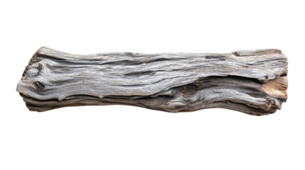 Old tree, transparent background