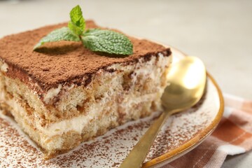 Piece of tasty tiramisu with fresh mint on table, closeup