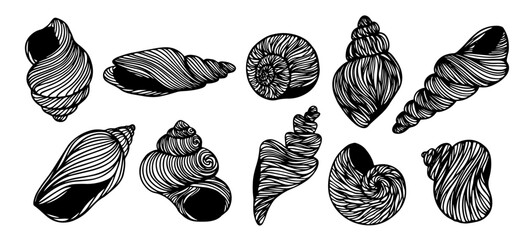 Set of decorative doodles of seashells. Vector graphics.