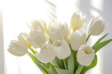 Fototapeta premium Fresh white tulips arranged in a decorative vase, ideal for still life photography or floral design inspiration