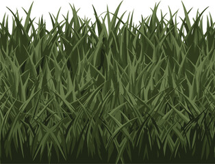 Realistic green grass vector illustration with dense green blades