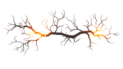 barbed wire frame on transparent background.