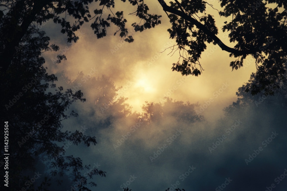 Poster a tree with sunlight shining through the clouds, suitable for use in nature and outdoors-themed proj