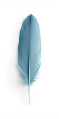 Single, soft blue feather floats against pure white background, fluffy feather, detail