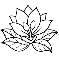 black and white lotus flower