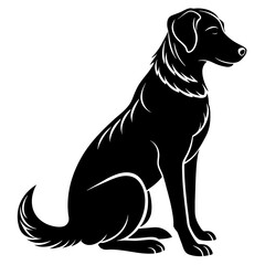 black labrador retriever