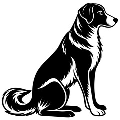 black labrador retriever