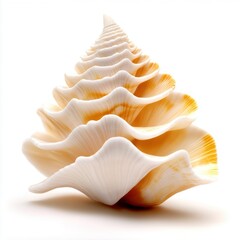 A beautifully spiraled seashell showcasing intricate patterns and soft colors, highlighting nature's artistry and elegance.