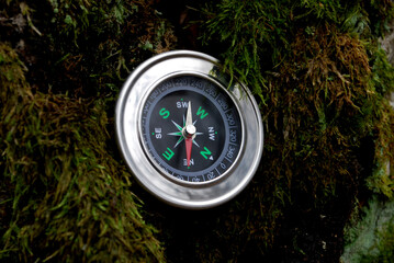 round compass on thick moss in a dark damp forest