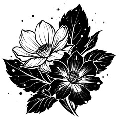 black and white background