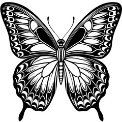 butterfly illustration