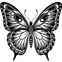black and white butterfly