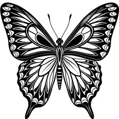 black and white butterfly
