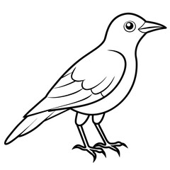sketch of a bird