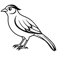 illustration of a bird