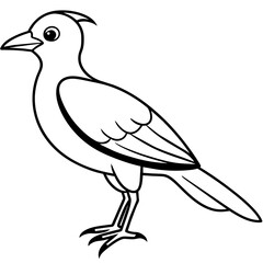 illustration of a bird