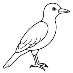 Obraz premium illustration of a bird