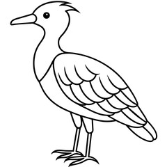 illustration of bird