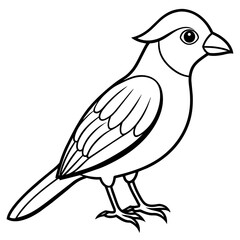 sketch of a bird