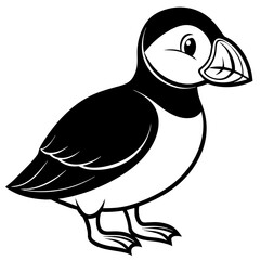 vector illustration of a duck