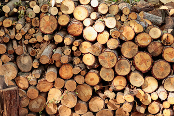 Close-up of sawn firewood stacked in a pile