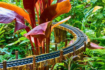 Tropical Garden Miniature Train Pathway Motion at Eye Level