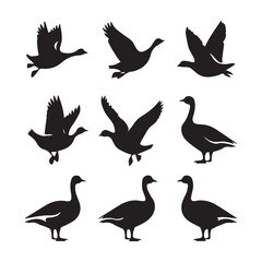 Bird Silhouettes Gooses Ducks silhouette vector illustration 