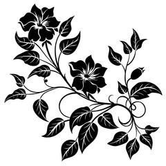 black and white floral frame