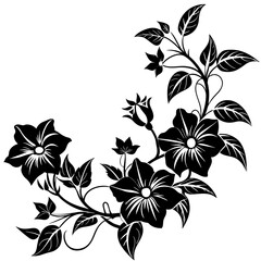 black and white floral frame