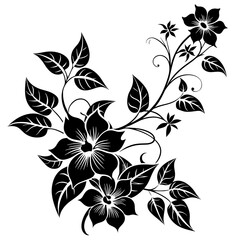 black and white floral frame