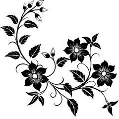black and white floral frame