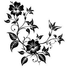 black and white floral frame