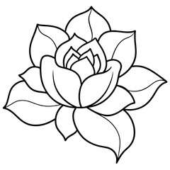 black and white rose flower vector illustration
