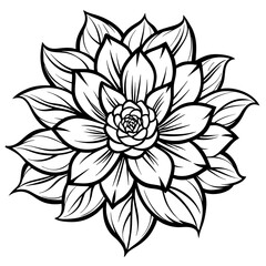 black and white rose flower vector illustration