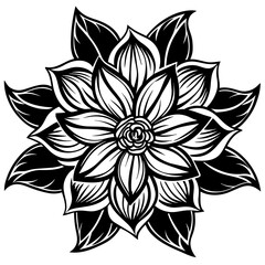 black and white rose flower vector illustration