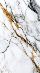 White Gold Black Marble Texture: Luxury Background