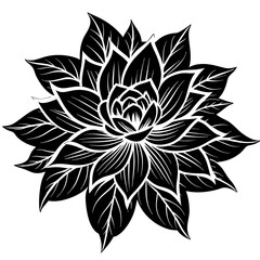 black and white rose flower vector illustration