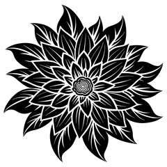 black and white flower isolated