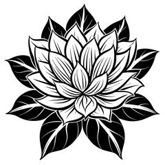 vector lotus flower